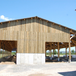 Bâtiment agricole, faitage éclairant Louison