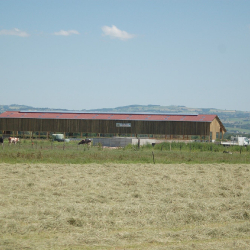 Bâtiment agricole, faitage éclairant Louison