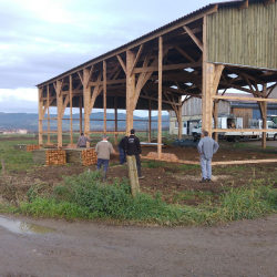 Gaec des Galets Brioude